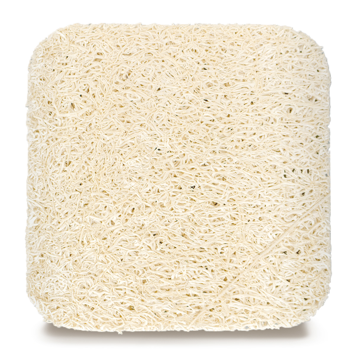 Puremetics seebialus Luffa - Image 2